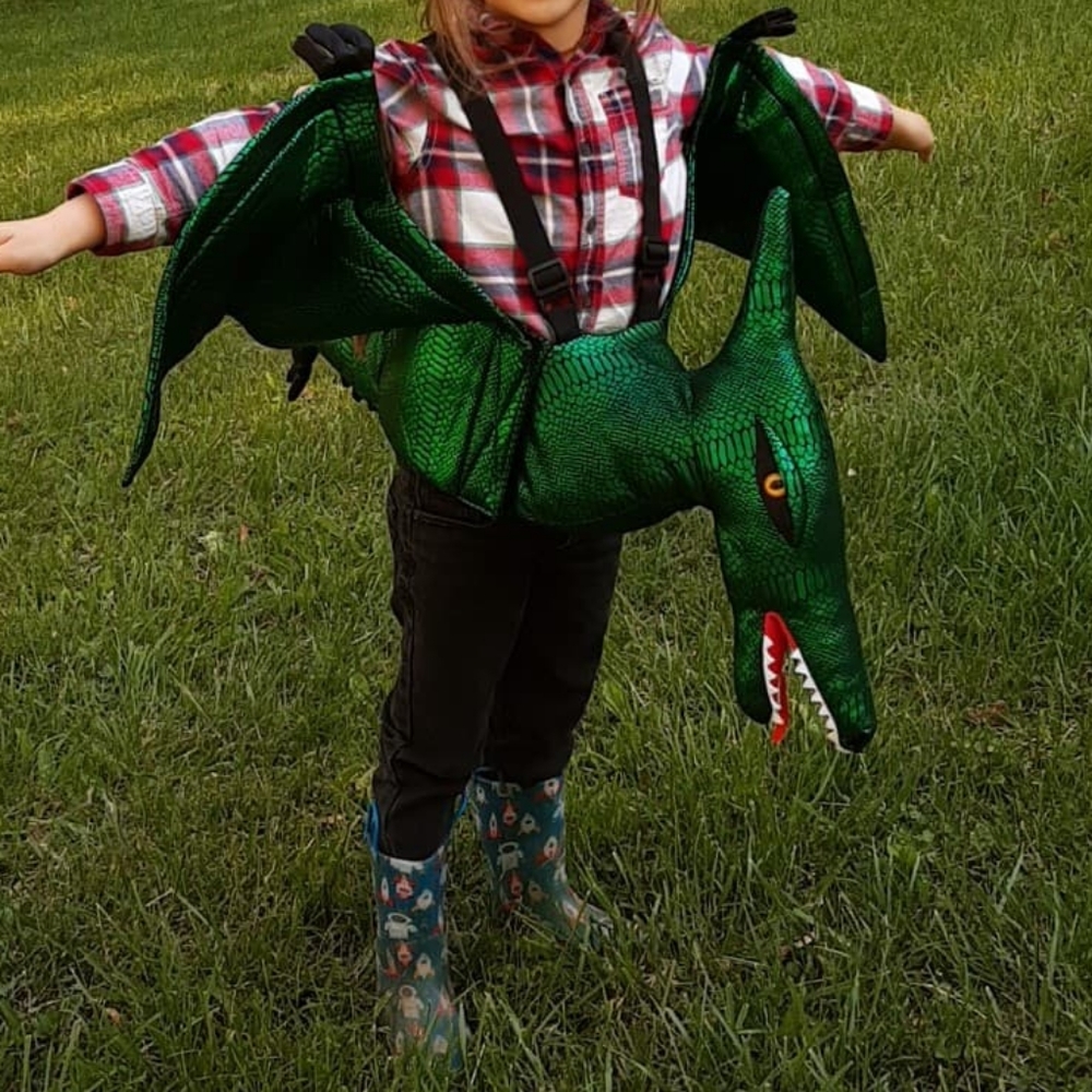 Dress up spooked brand kids green metallic pterodactyl costume  kids siz…
